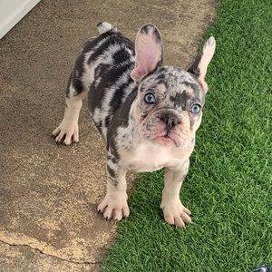 Meet your Posher, Marcos